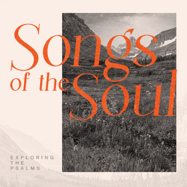 psalms songs of the soul tlr series graphic